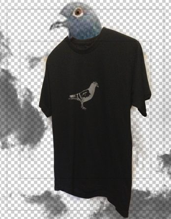 Camiseta de POMBO