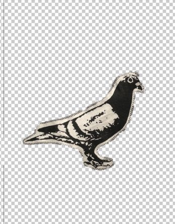 Patch de Pombo Grande